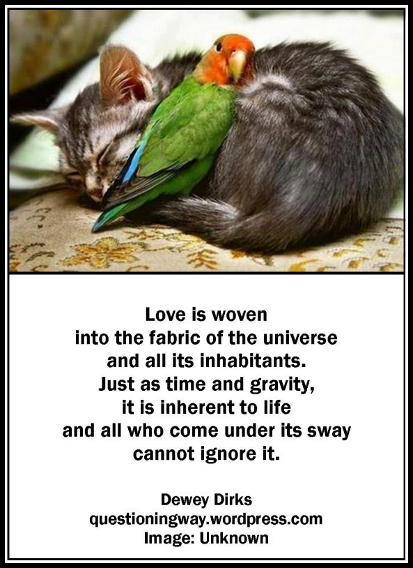 Love is Woven