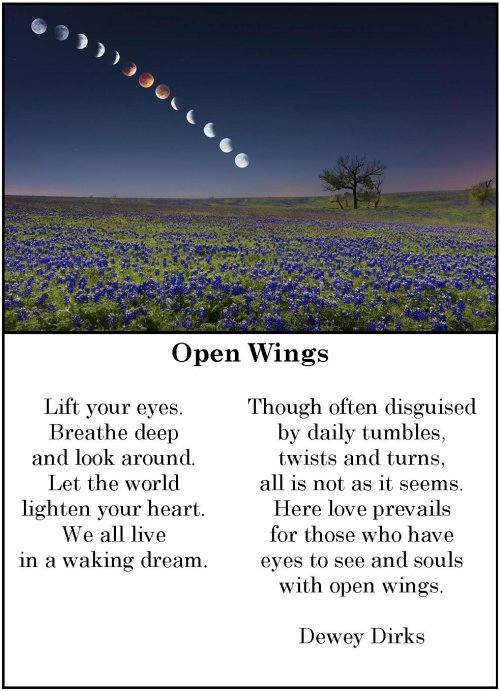 Opened Wings