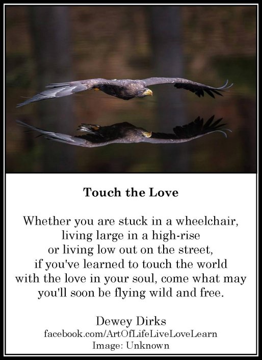Touch The Love